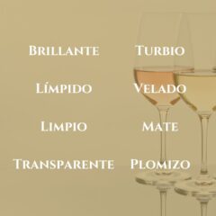Observar un vino